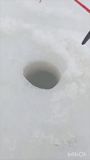 #шортс #зимняя #рыбалка смотреть онлайн