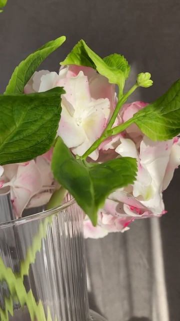 Просто и изящно✅ Гортензия ручной работы из холодног?