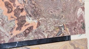 СЕМИНАР  НЕОСКАЛЬОЛА+ (Тюмень)