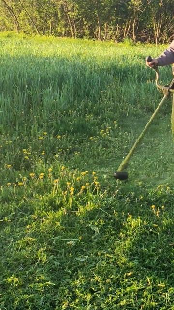 Триммер косит леской 🔥🔥🔥