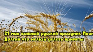 21 мая — важный русский праздник Иван Долгий: что нельзя делать, приметы