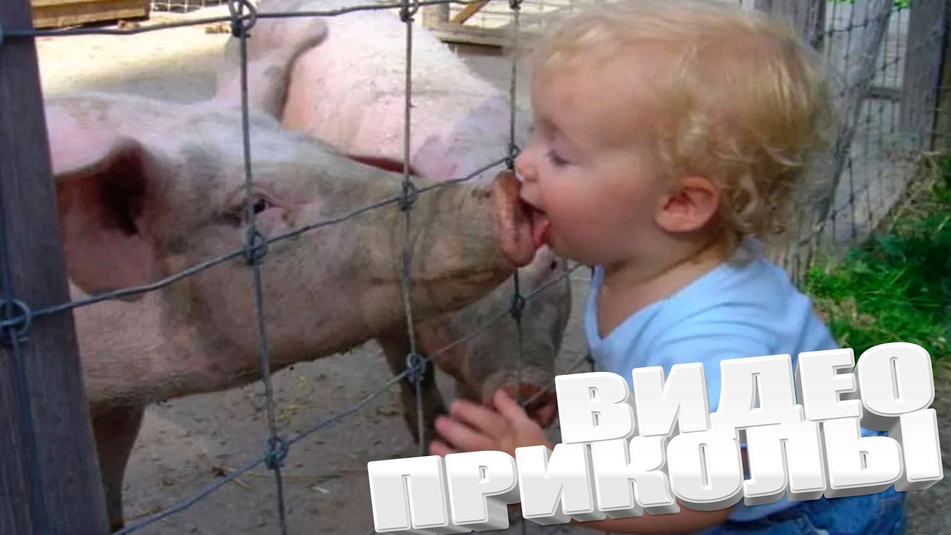 Я РЖАЛ ДО СЛЕЗ 😂 5 Минут ОТБОРНЫХ приколов 2025 Смешные видео - Лучшие ПРИКОЛЫ смотреть онлайн