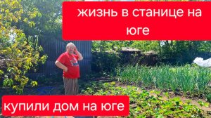 478 🏠 Живём в станице Городские.Спасаем клубнику.Набрали ведро грибов.И много другого.
