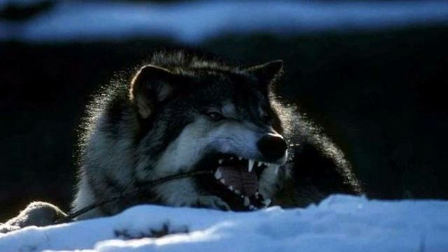 С. Прокоф'єв смотреть онлайн