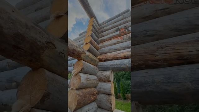 Шедевр из КЕЛО — собрали ещё один сруб! #баня #стройка #
