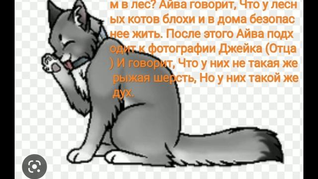 ||История Айвы, Всем доброе утро:).|| #12апреля #котывоители #подпишись #лайкните #айва #подпишись