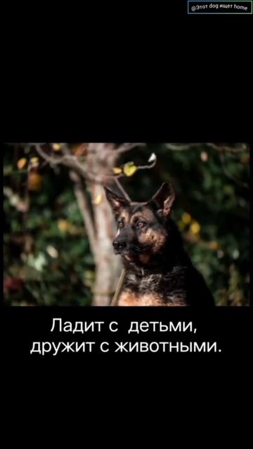 Буду рада знакомству смотреть онлайн