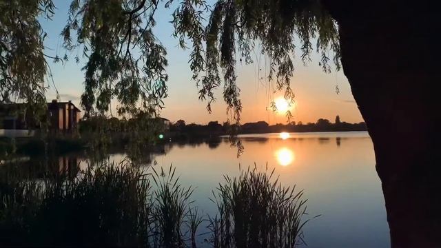 Видео вдохновления . Как iPhone передает картинку смотреть онлайн
