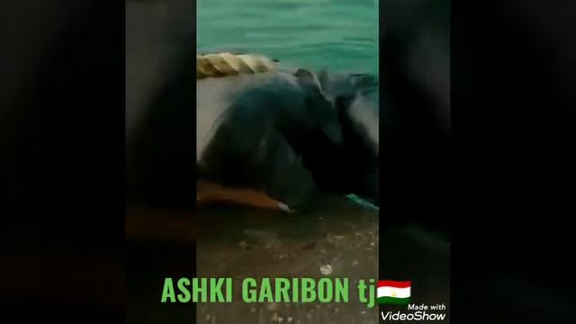 #дастгири#шумо#пешрави#мо# Прикол Мистер Бин 🤣🤣 смотреть онлайн