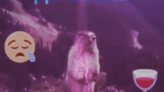 ГДЕ ВСЕ БУХНУТЬ ХОЧУ смотреть онлайн