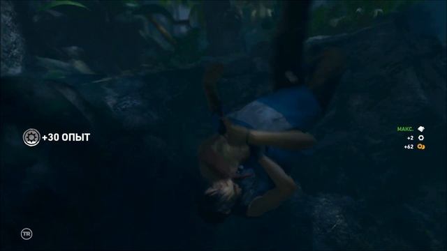 Shadow Of The Tomb Raider. Лара гладит ламу, и не только