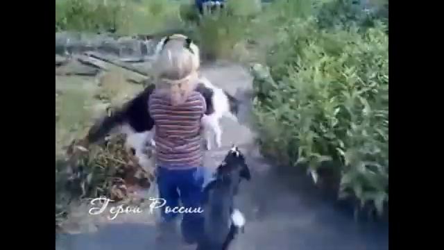 Маленькая девочка не дала в обиду котика Приколы смотреть онлайн