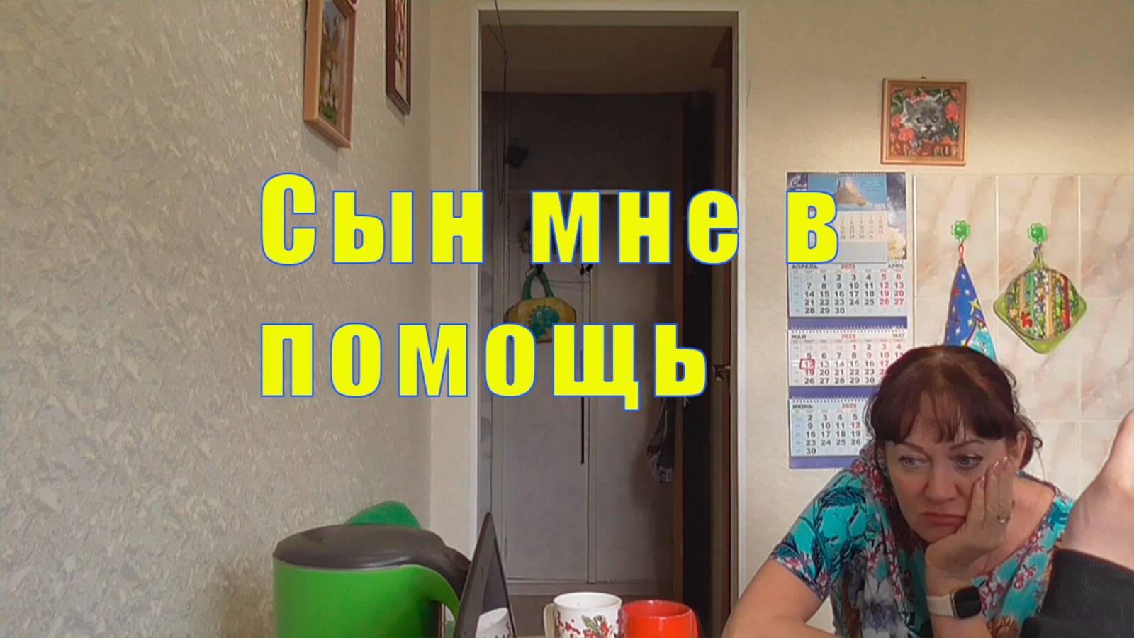 ОБСТАНОВКУ НАДО МЕНЯТЬ /СЫН МНЕ В ПОМОЩЬ /12 мая 2025 смотреть онлайн