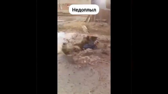 Недоплыл 😂