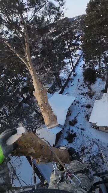 Спил макушки дерева на участке. Иркутск и область 8-914-89 смотреть онлайн