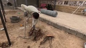 12.04.2025 Что будет с детьми Тайбе, если отец-деспот окажется в тюрьме?