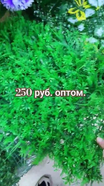 Садовод, Москва Цветы. февраль 2024 г. смотреть онлайн