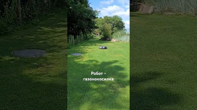 Робот газонокосилка. смотреть онлайн