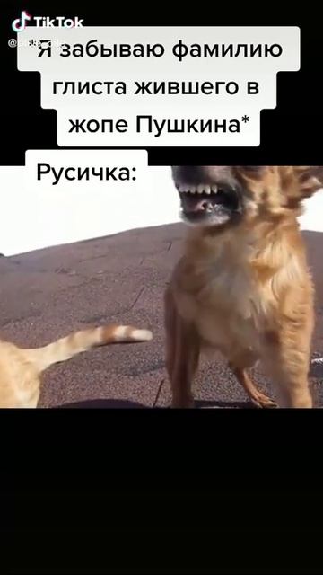 Мем прикол #2 смотреть онлайн