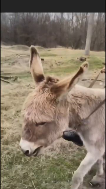 Какую машину взять 2025 с малыми расходом смотреть онлайн