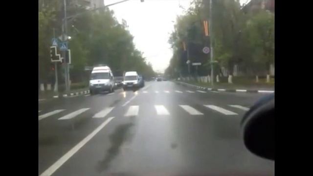 Братья наши меньшие на пешеходном переходе смотреть онлайн