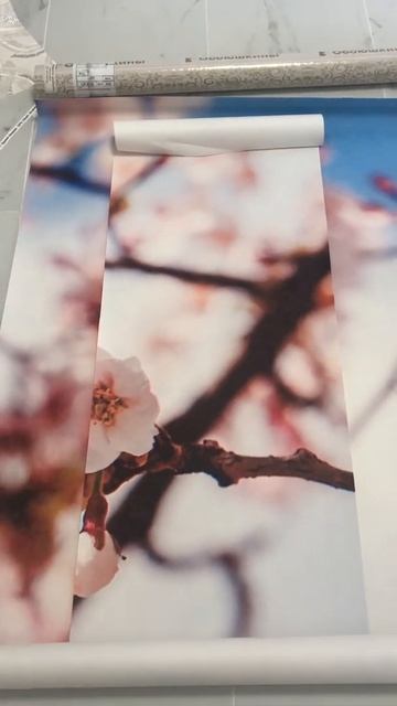 Ремонт и дизайн. Выбор обоев по качеству (фотообои) смотреть онлайн