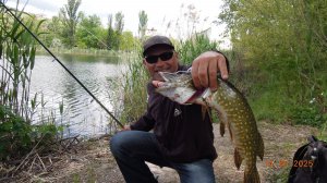 Ловля щуки на спиннинг на крупные приманки СВИМБЕЙТЫ.2025.