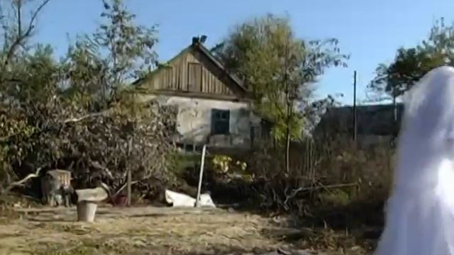 шуточное видео с разных свадеб смотреть онлайн