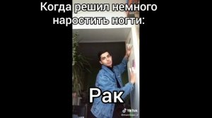 Знаки зодиака как мемы из тик ток