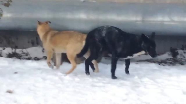 Застрял в любви)) смотреть онлайн