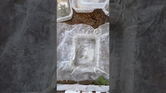 Дорожки между высокими грядками #дача #сад смотреть онлайн