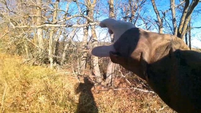 Коп Металлолом архив 13 Октября 2024 г, Последний ролик 202 смотреть онлайн