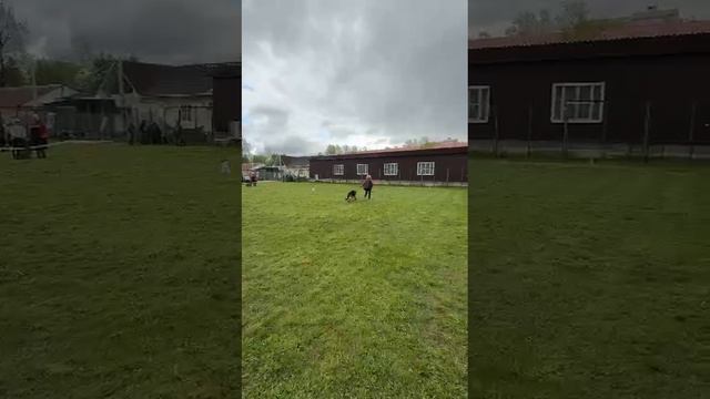 1.  выражено/пож TIME OF DELIGHT MIRO (San-Rathelle Eurostar – Weitenshof Edinstvennaya)