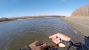 ПОЛОСАТАЯ БАНДА РВЕТ СИЛИКОН НА КУСКИ! Спиннинг,отводной поводок поздней осенью