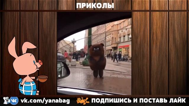 ПРИКОЛЫ / СМЕШНЫЕ ВИДЕО смотреть онлайн