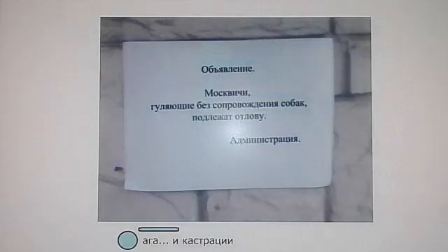 Лютые приколы. Ручка + линейка смотреть онлайн