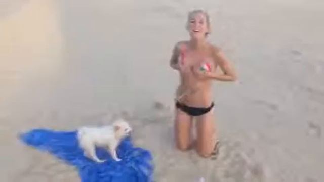 Самые прикольные собаки в мире  Смешные собаки и щенки видео