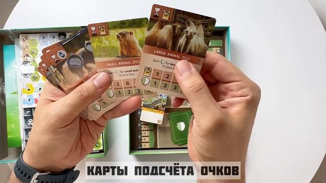 Распаковка настольной игры Ark Nova смотреть онлайн