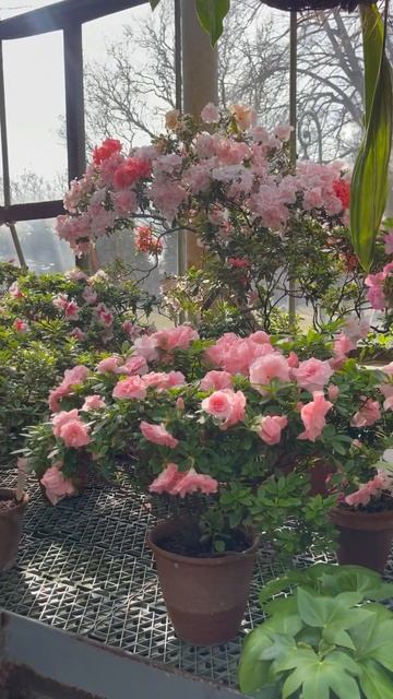 Телец - знак плодородия. Это, поистине земной знак. С 21.0 смотреть онлайн