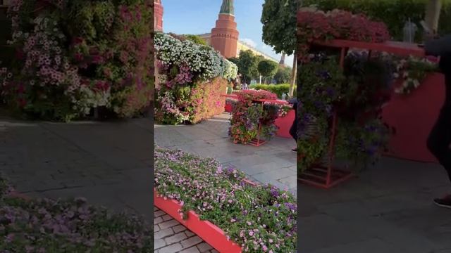 Фестиваль цветов.. смотреть онлайн