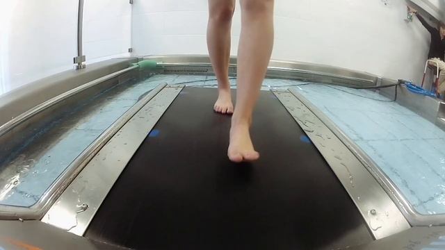 Подводная беговая дорожка для готового бассейна Pooltrack смотреть онлайн