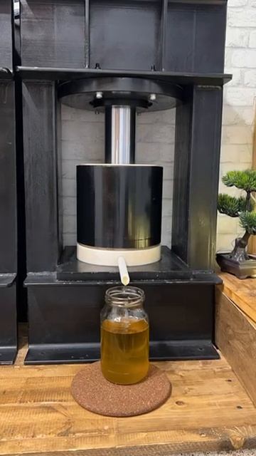 Отжим льняного масла гидравлическим прессом смотреть онлайн