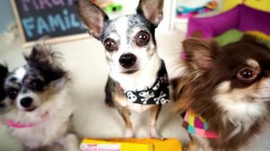 СОФИ НЕ ЗДОРОВА 😔 Но подарки СЛИШКОМ КРУТЫЕ 🎉