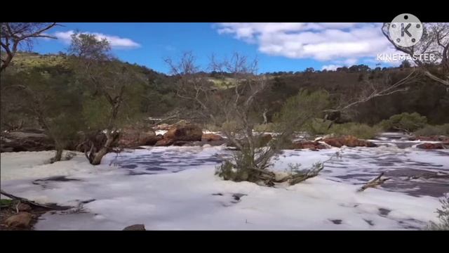 мы родились в Сибири//примазалась//обзор канала смотреть онлайн