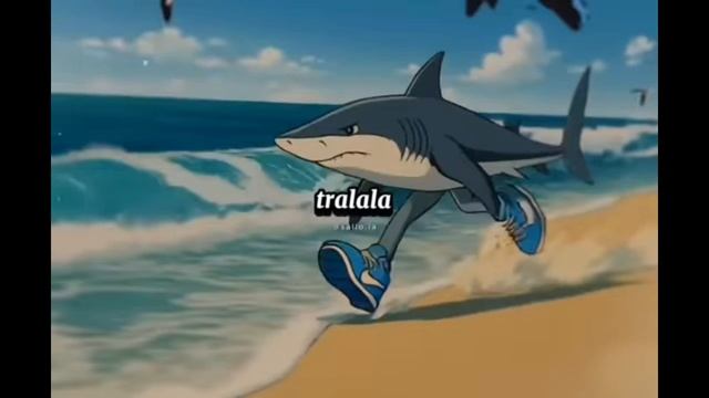 Vidma_recorder_15052025_162231.mp4