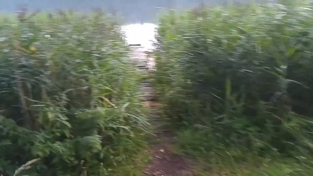 Закат. Берег озера Шчыбат со стороны д. Боровка. Лепельский военный санаторий смотреть онлайн