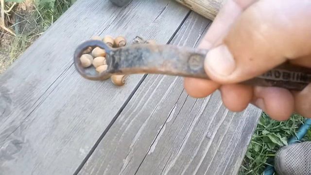 Всегда пригодится: как правильно колоть лесные орехи (фундук, лещину) смотреть онлайн