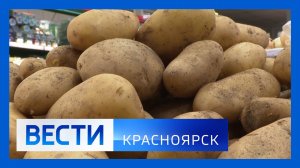 Вести. Красноярск от 14.05.25