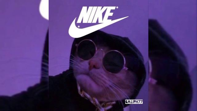 Не твой уровень дорогой BASS MUSIC