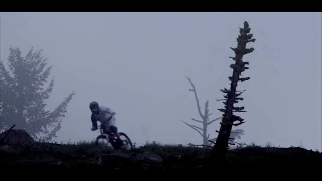 Приколы, Coub и многое другое смотреть онлайн